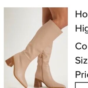 Billion Holden Biscuit Beige Pointed-Toe Knee-High Boots